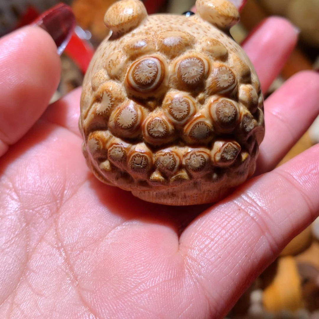 【闪购商品】乔**g h h j k