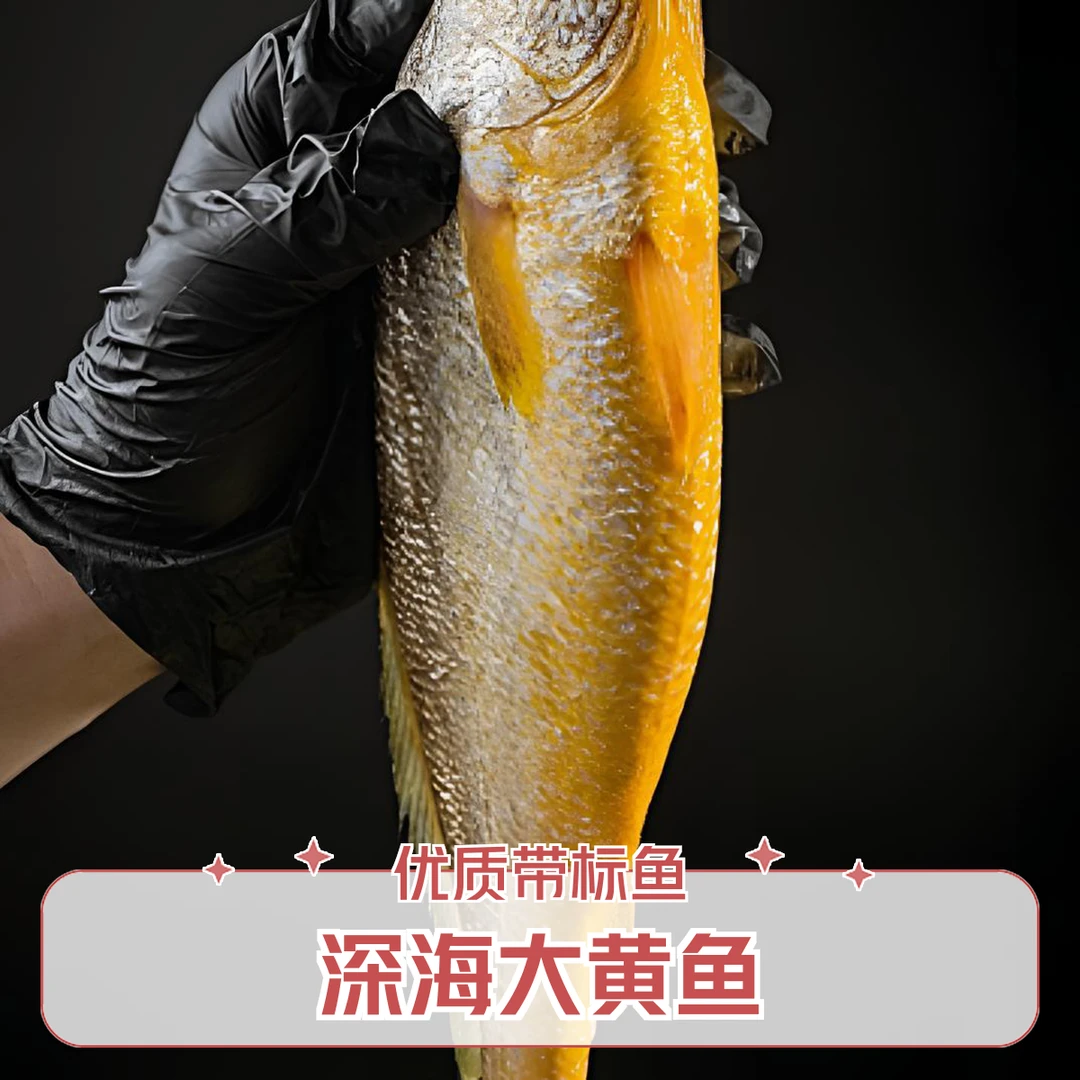 深海生态带标大黄鱼（7-10条）顺丰冷链包邮