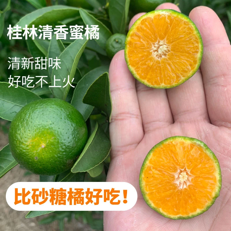 【商超款】桂林茶橘橘子非沙糖桔3-9斤新鲜纯甜无酸大果香甜甘甜