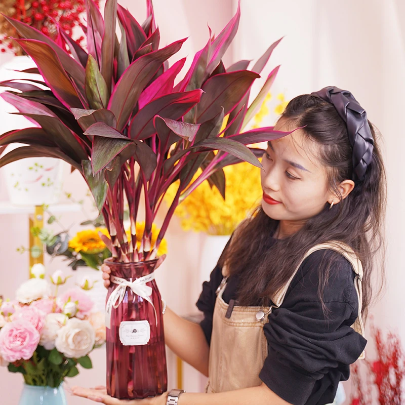 鸿运紫竹富贵竹水培大叶竹观音竹花卉室内外水养基地批发花卉绿植