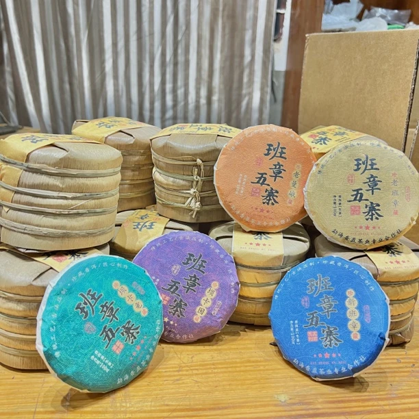 2024年 班章五寨 组合100克/饼 头春 头采