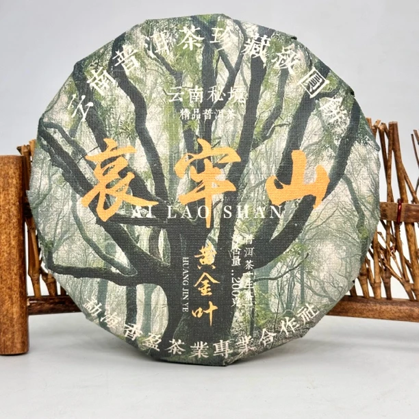 2024年哀牢山古树黄金叶200克/饼生茶  头春