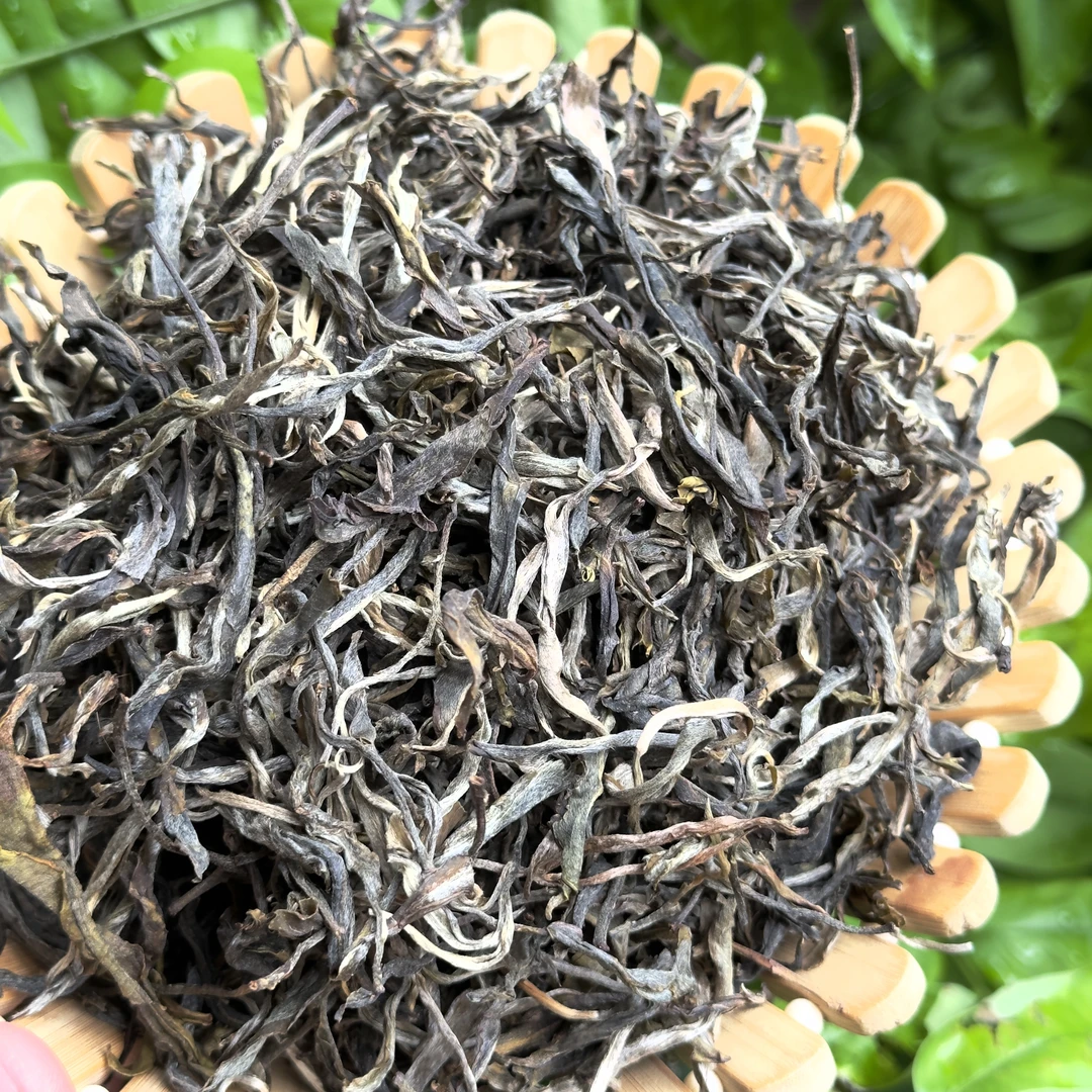 2024年 生茶散茶