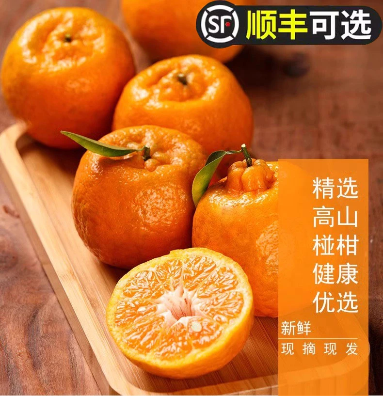 【头茬尝鲜】四川高山老树椪柑芦柑3-8斤家乡味道脆甜新鲜柑橘水果
