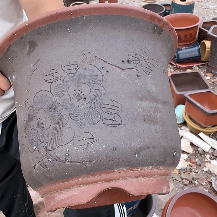 紫砂20CM（含）-50CM（不含）干净利落