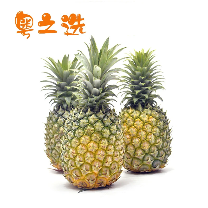 粤之选徐闻菠萝酸甜可口5斤起产地直发香甜多汁新鲜菠萝水果
