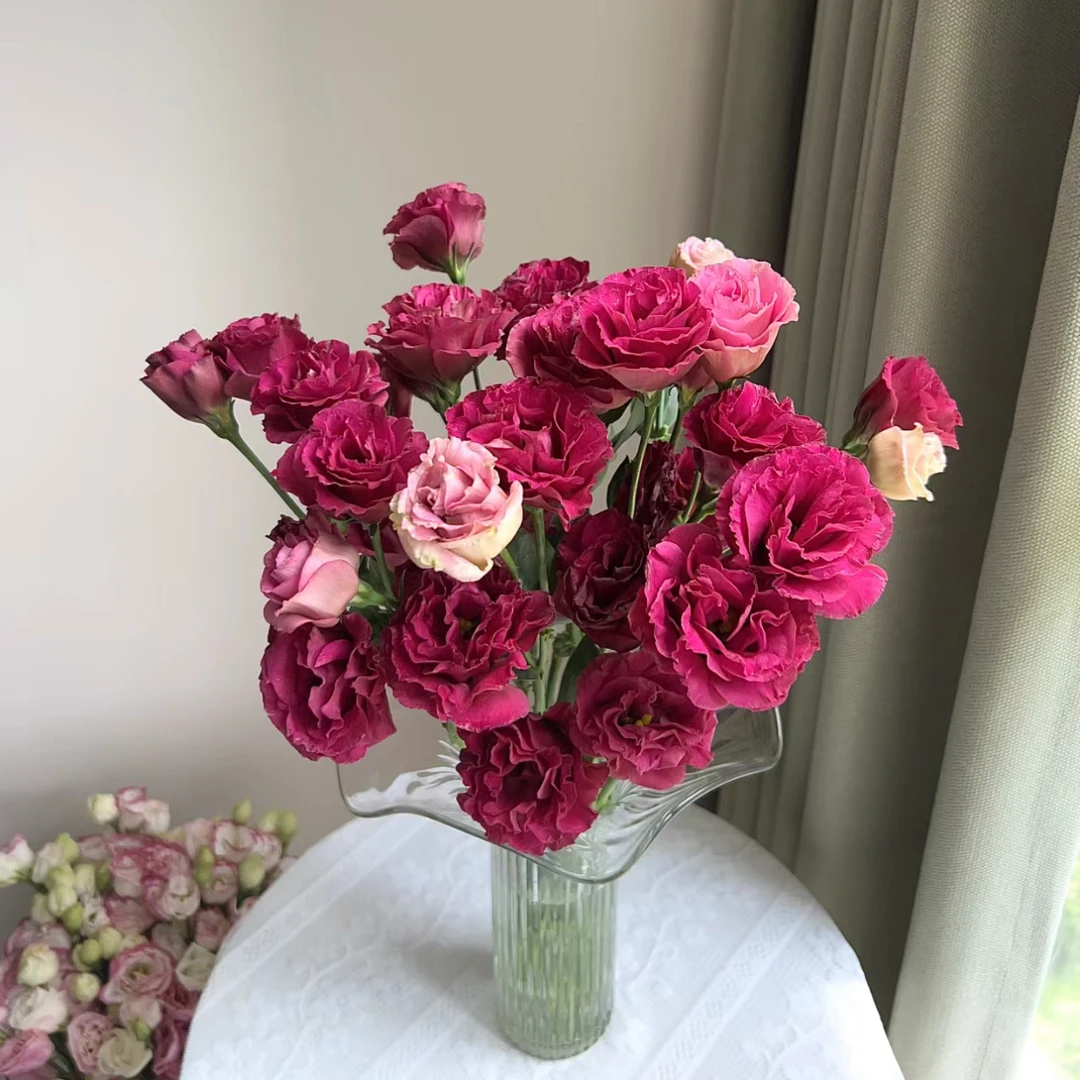 【杨鹏鲜花】乌梅子酱 洋桔梗 顺丰包邮