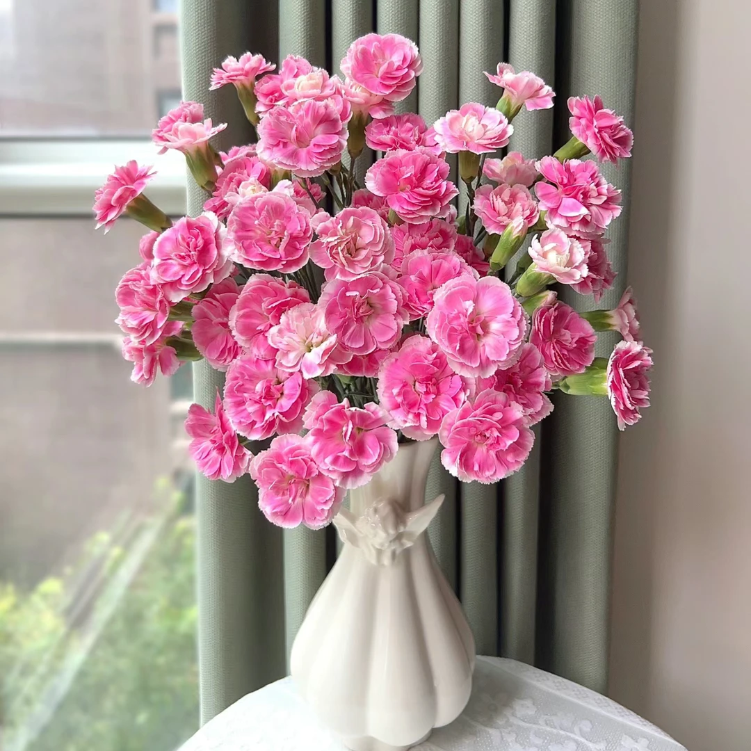 【杨鹏鲜花】樱桃太子 多丁 多头康乃馨 云南鲜花包邮