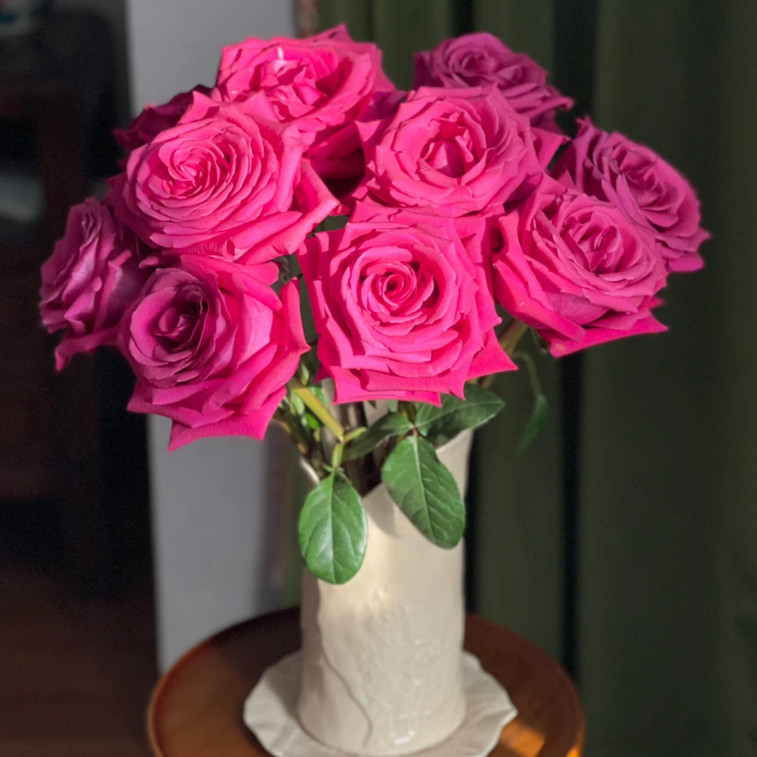 【杨鹏鲜花】弗洛伊德 单头玫瑰 云南鲜花包邮