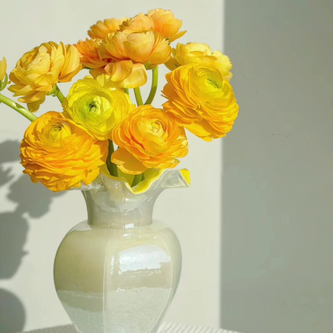 【杨鹏鲜花】黄色洋牡丹 云南鲜花包邮生花苞发货（带纸壳醒花）