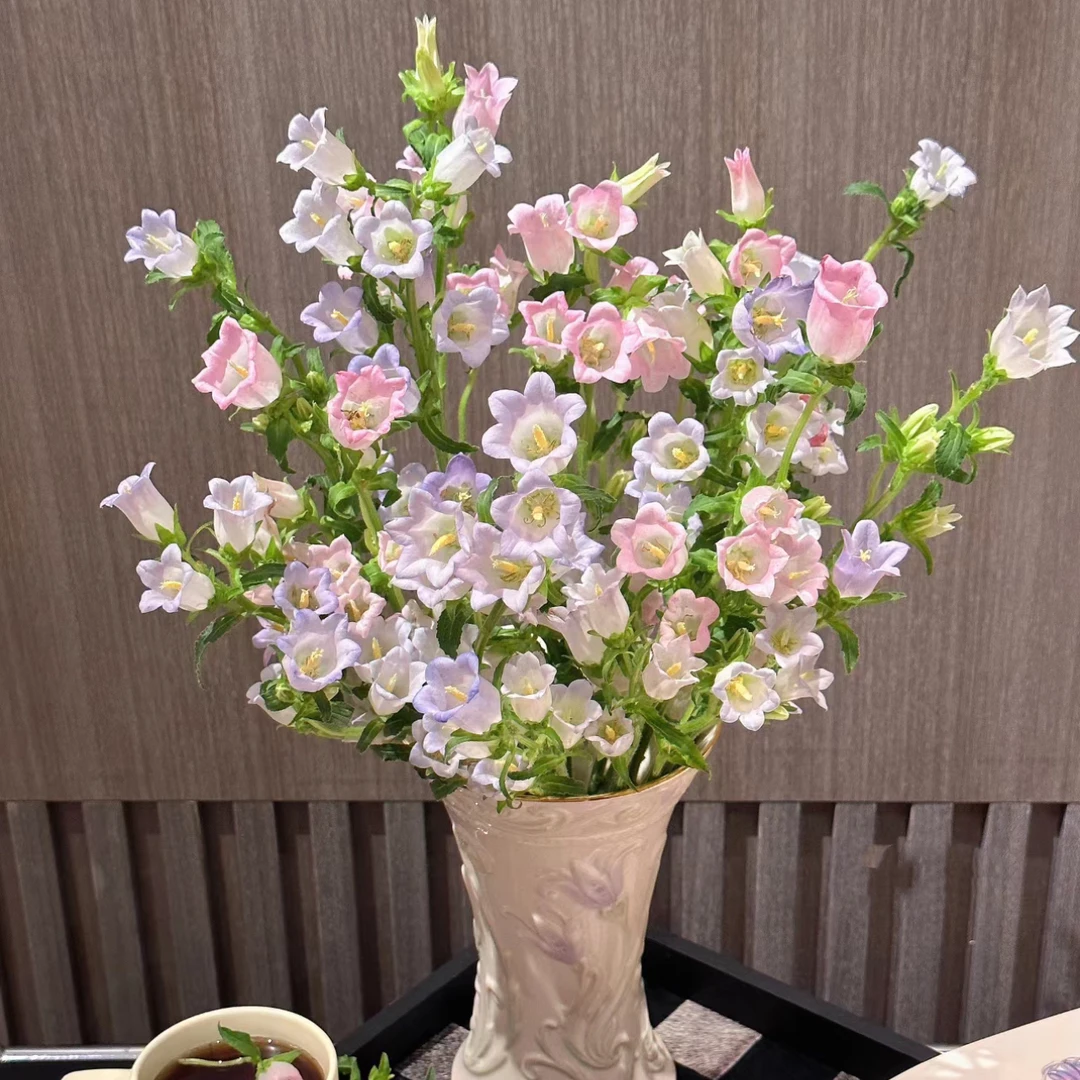 【杨鹏鲜花】3扎3色风铃 小清新系鲜花云南鲜花包邮家用