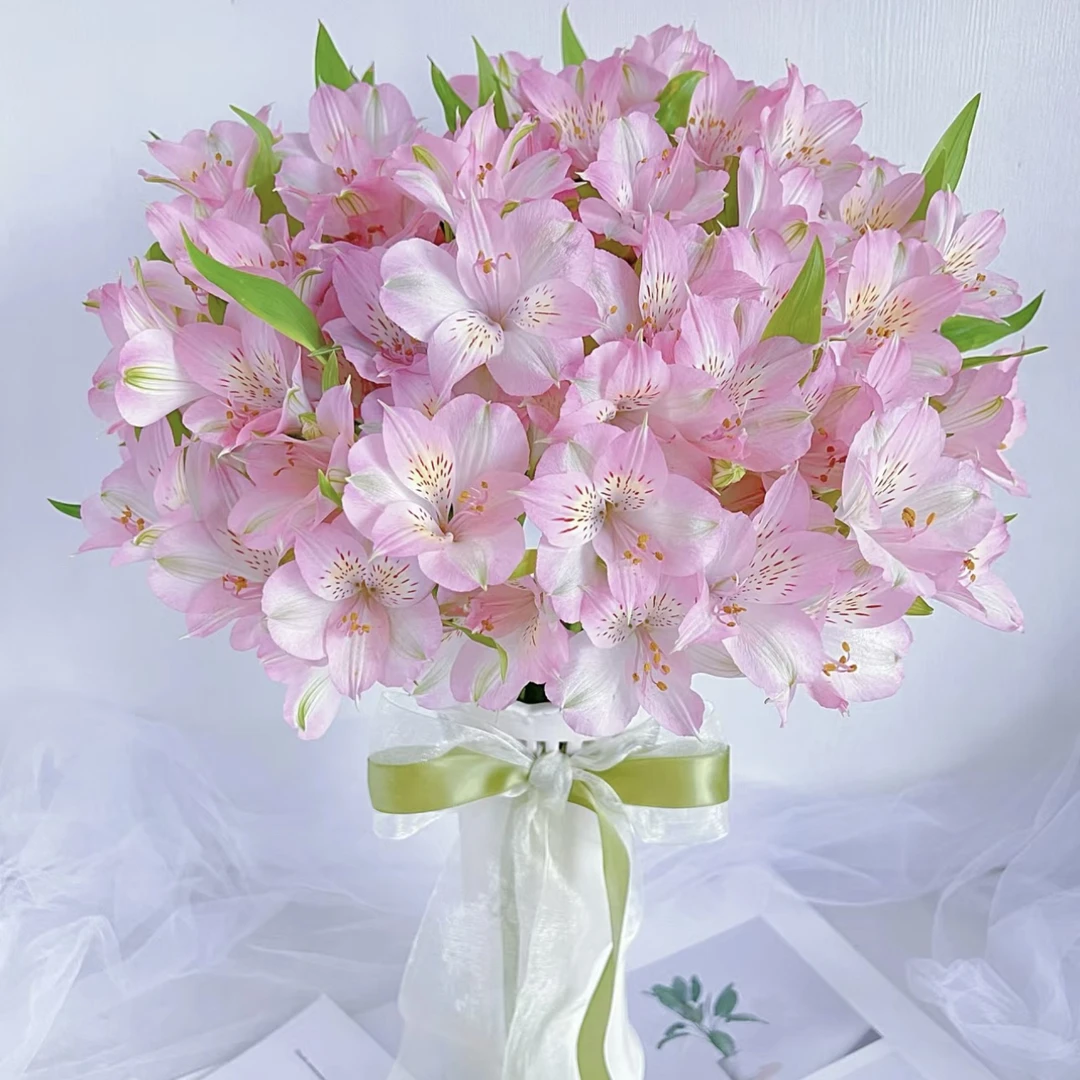【杨鹏鲜花】迪拜粉 六初花 水仙百合 云南鲜花包邮