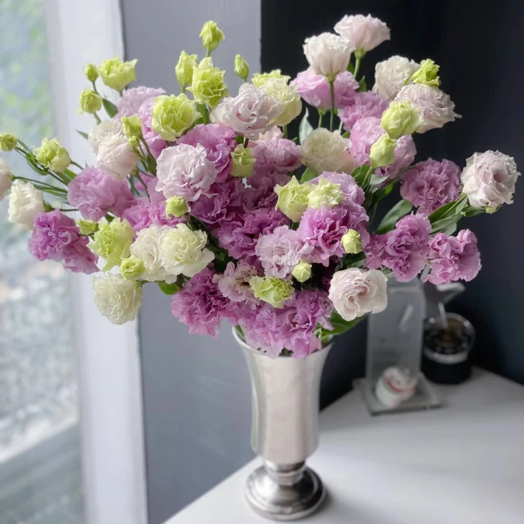 【杨鹏鲜花】波浪浅紫 洋桔梗 云南鲜花包邮