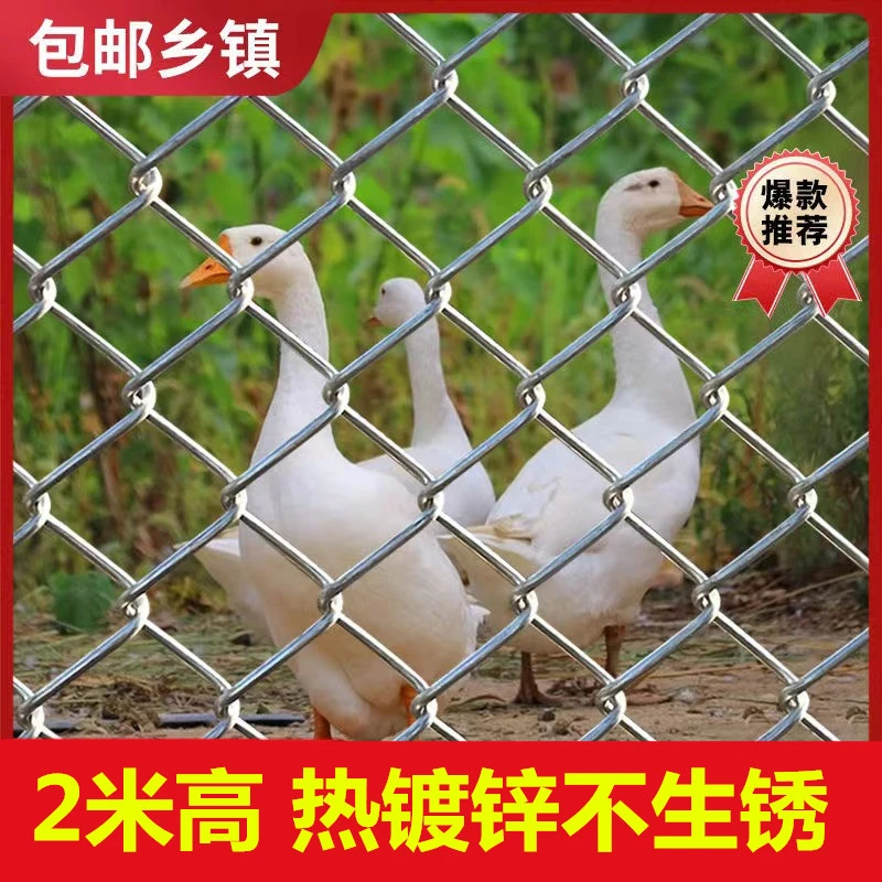 2米镀锌铁丝网勾花网围栏圈牛羊防护养殖钢丝网养鸡狗果园护栏网