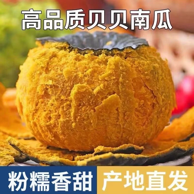 【超粉糯】正宗贝贝小南瓜板栗味老南瓜批发孕妇宝宝辅食新鲜蔬菜好