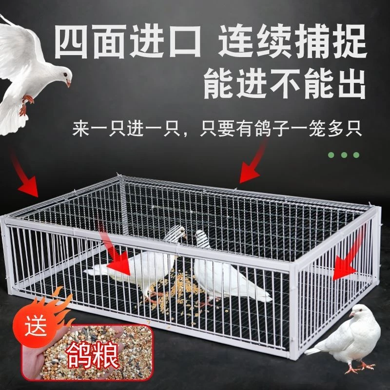 【小扬哥推荐】新品 天落笼加密只进不出鸽子笼鸽子神器全自动收鸽