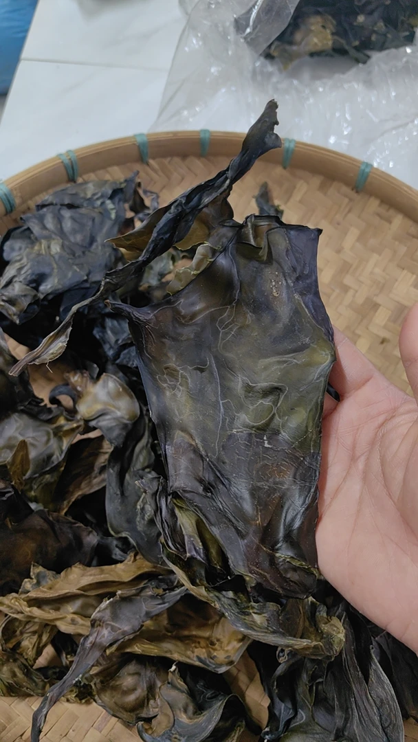 （海带头）野生的海藻海带头干货熬汤煮糖水
