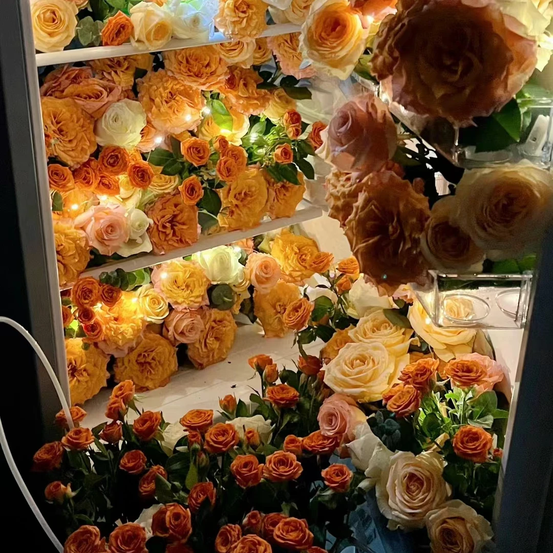 【组合】组合玫瑰 可修改