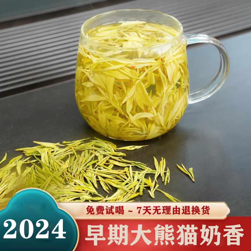 【高山奶白】24年新奶香富裕茶明前绿茶白茶兰花香绿茶兰香浓郁安吉