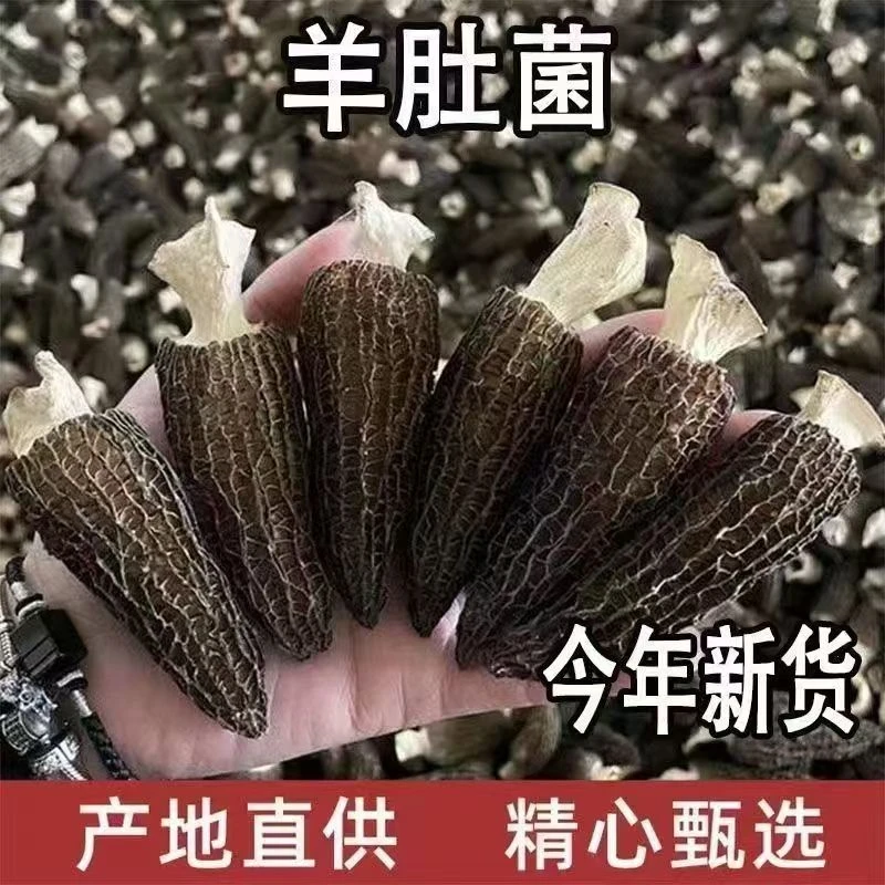 【周年庆特价】精品头茬 3-7cm川西羊肚菌 林地菇 无硫不添加 ！！
