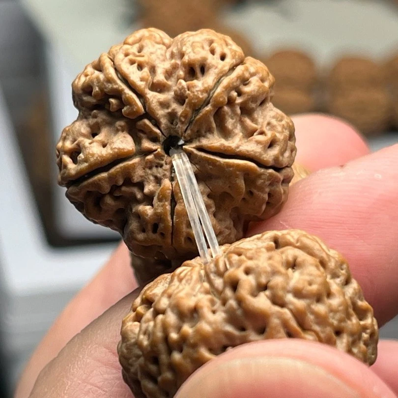 【卓尔●甄选】王者梅花，平头豆腐块，秒沉铁籽，粗筋梅花手串！