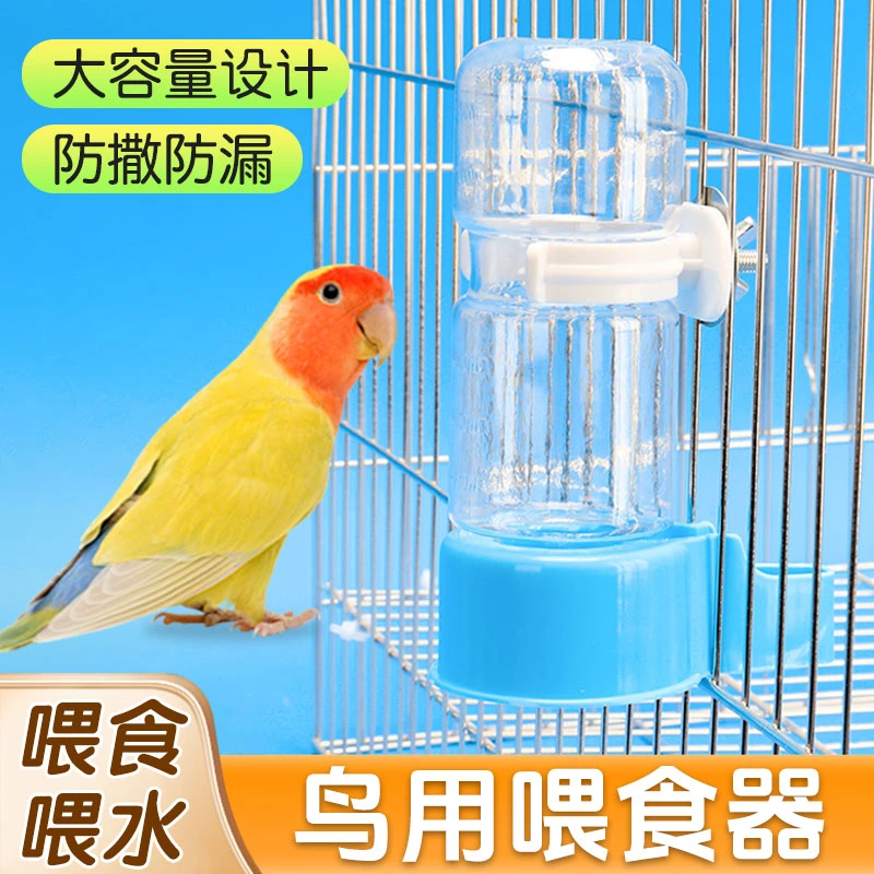 【大容量设计 不卡粮】鸟用自动喂食器鹦鹉饮水器喝水器鸟类用具DD