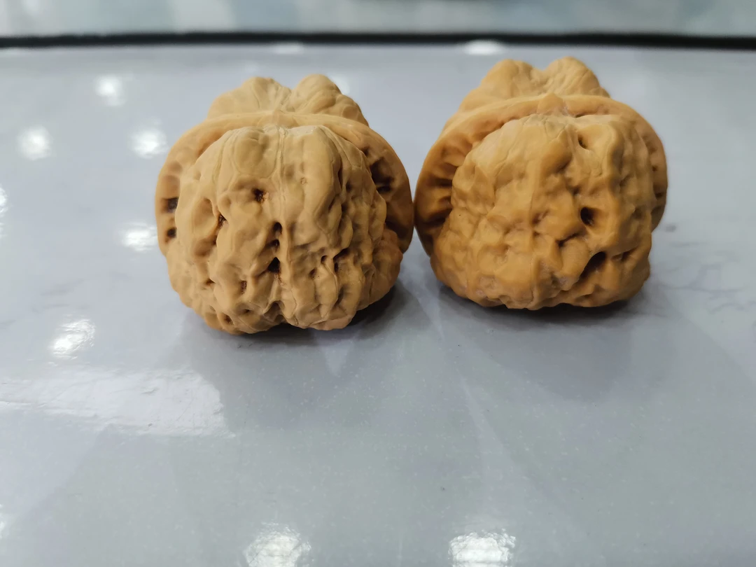蛤蟆头   白茬