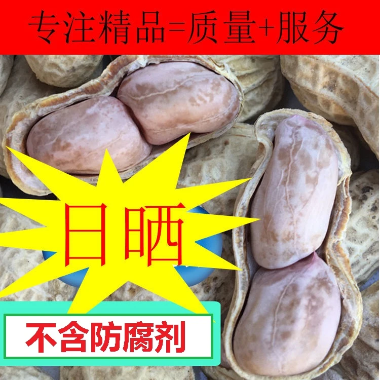 新龙岩花生水煮花生日晒咸干香酥五香蒜香白晒花生零食坚果500克