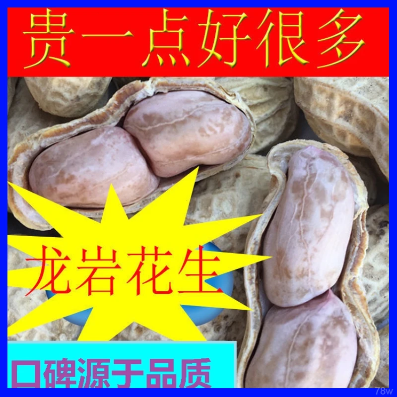 新龙岩水煮花生日晒咸干清香五香蒜香白晒花生休闲即食追剧小零食