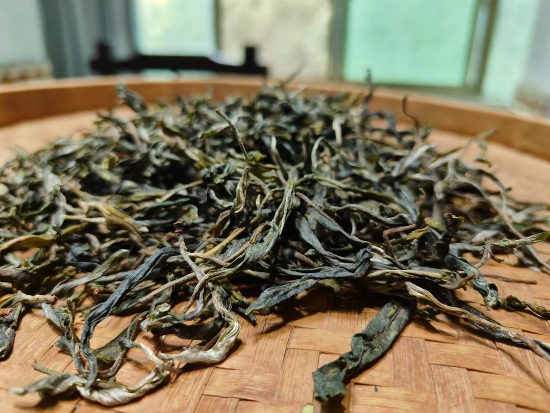 冰岛老寨41号2025年六祥号春200克散料