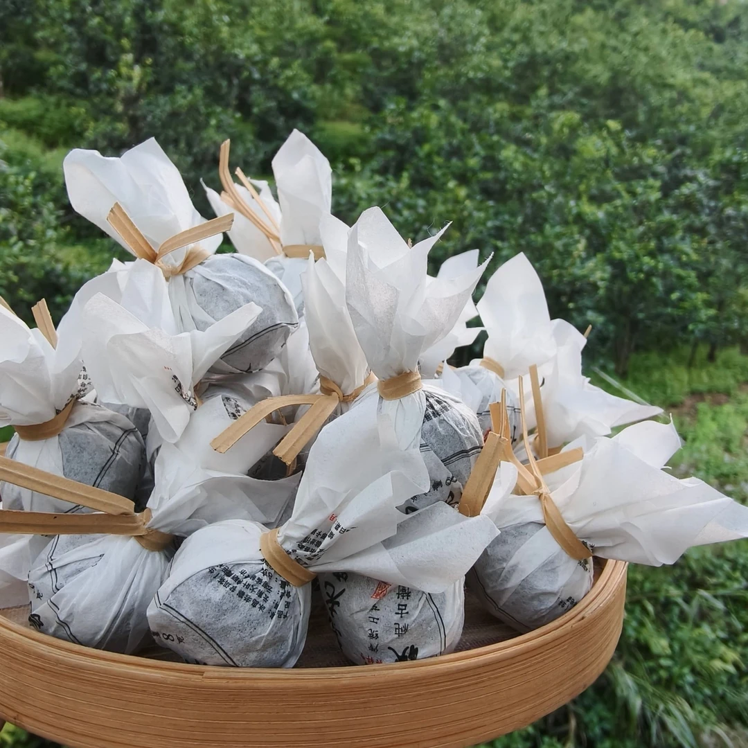 冰岛老寨41号六祥号2024年秋纯古树龙珠