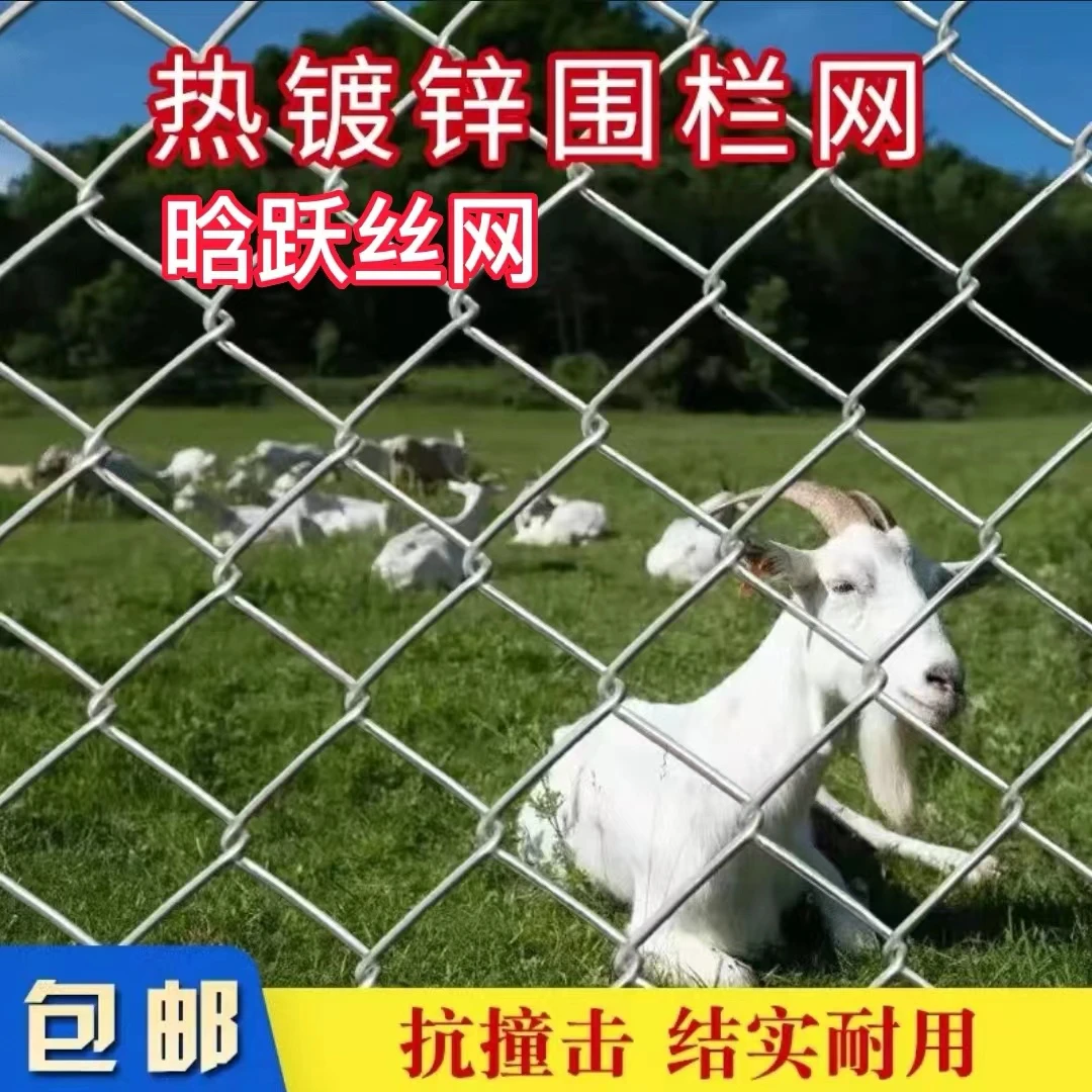 热镀锌养殖网不生锈铁丝网猪牛羊狗园林山地防护网户外优质防护网