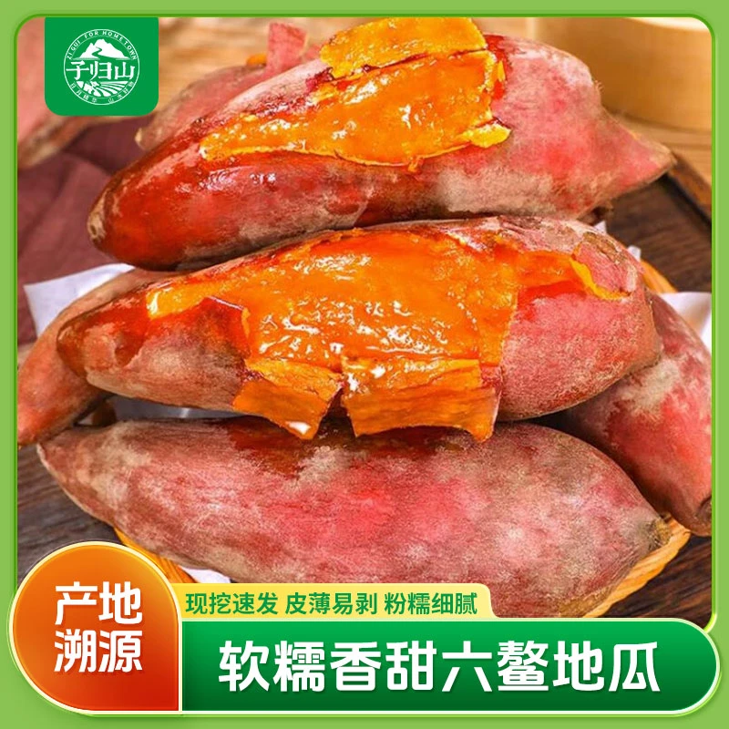 福建漳州六鳌地瓜沙地红薯糖心蜜薯农家种植新鲜现挖