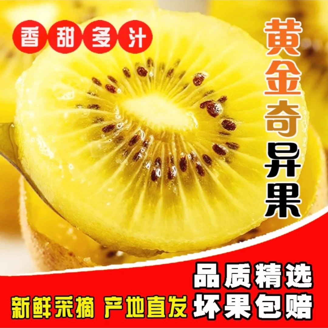 【黄金奇异果T】四川蒲江奇异果（8-20个）110g起黄心当季鲜猕猴桃