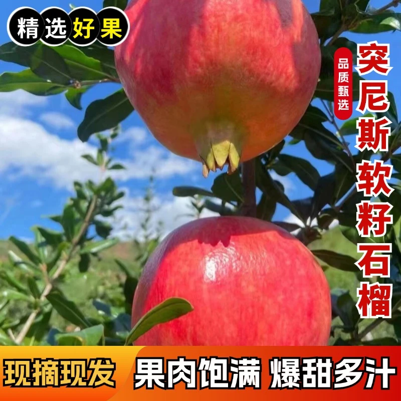 【当季水果】四川会理头茬突尼斯软籽石榴3/5斤新鲜石榴现摘现发