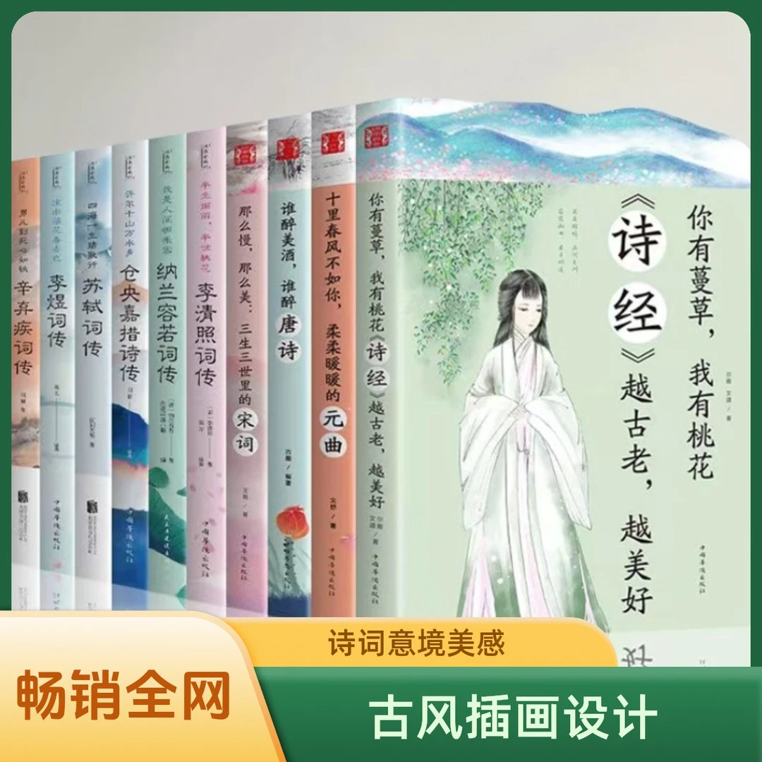 正版白居易诗传但能心静即身凉现代文学 白居易诗传 南乔诗文鉴书