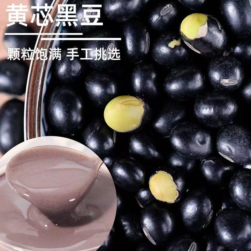 东北农家自种黄芯黑豆5斤包邮！！