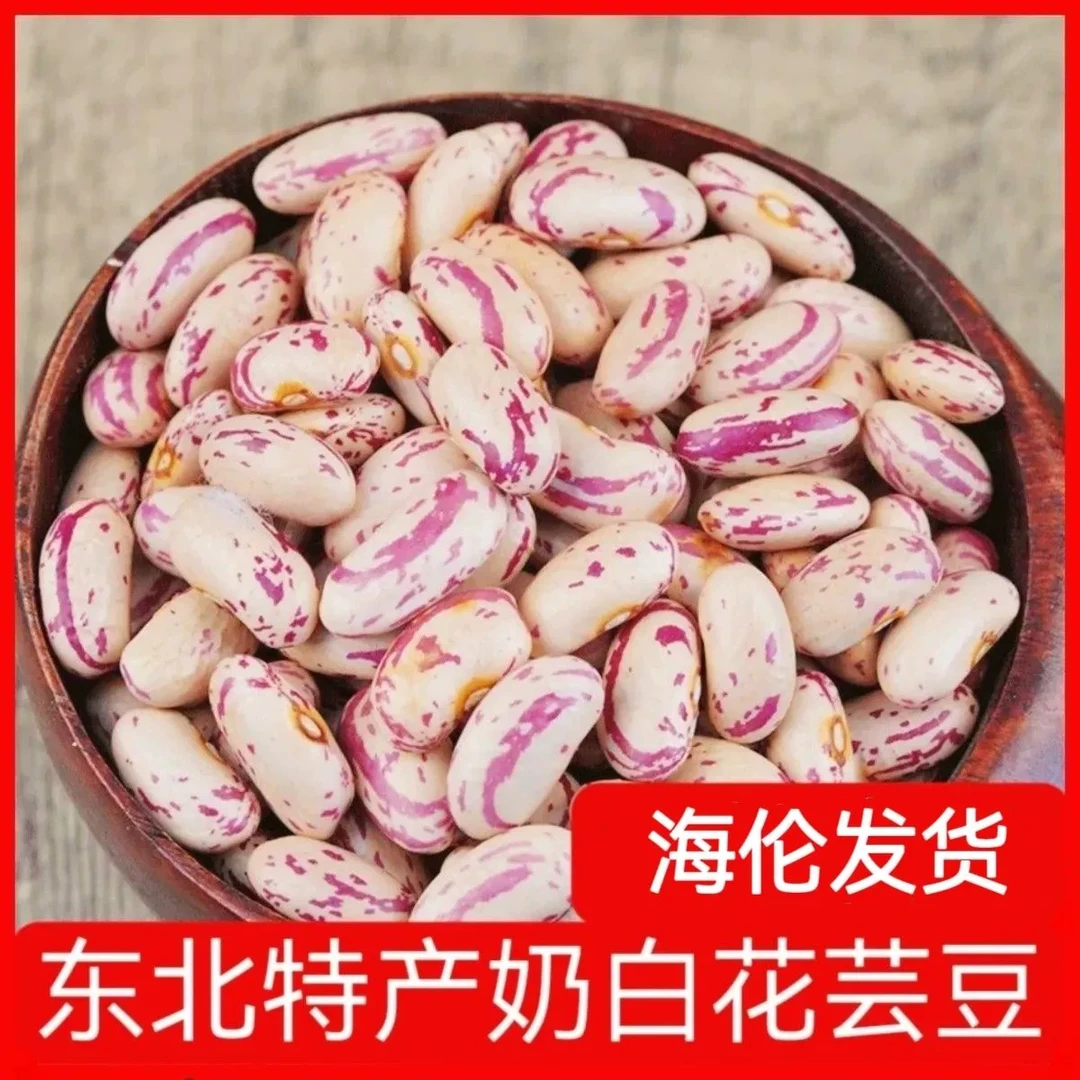 （铁柱家）东北特产农家自种奶白花芸豆5斤包邮！