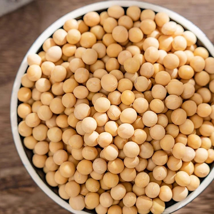 （铁柱家）东北特产农家小粒黄豆非转基因打豆浆生豆芽专用5斤包邮