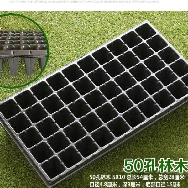 扦插育苗专用育秧苗盘培育菜苗种植盆盒塑料西瓜芽菜水稻多肉叶插