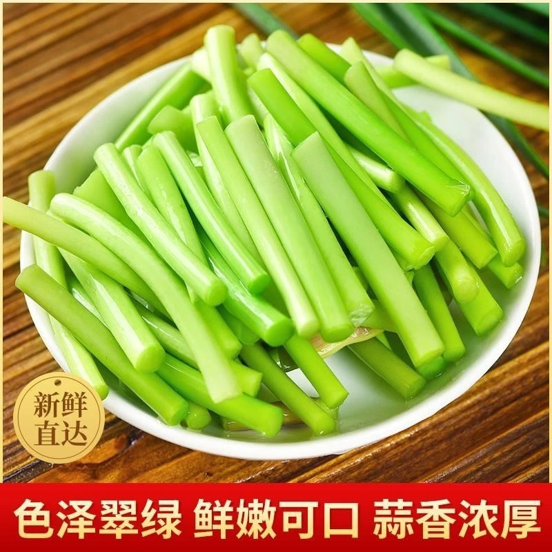 【2025新鲜蒜苔】云南应季现摘脆嫩白帽蒜苔农家自种青蒜苗非冷藏