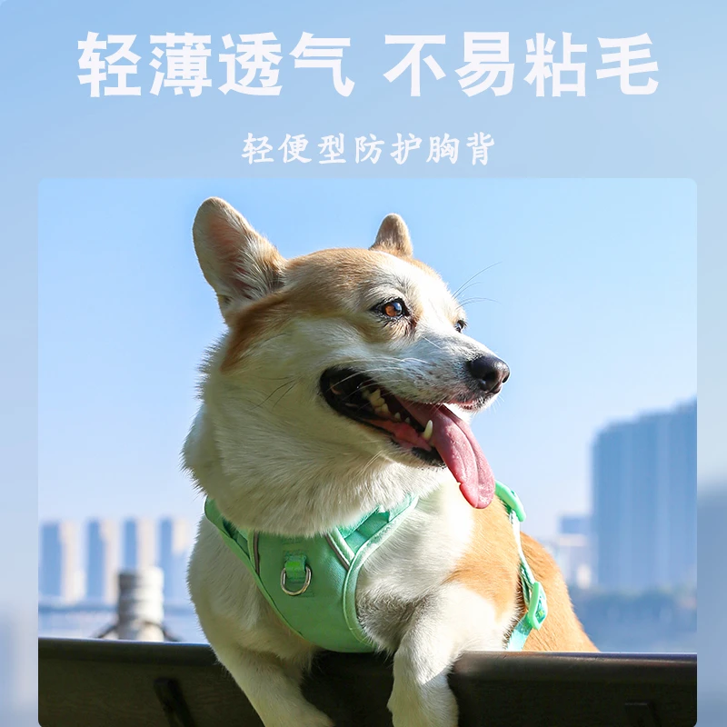 狗狗牵引绳胸背带背心式遛狗胸背带小中大型犬金毛柯基外出专用绳