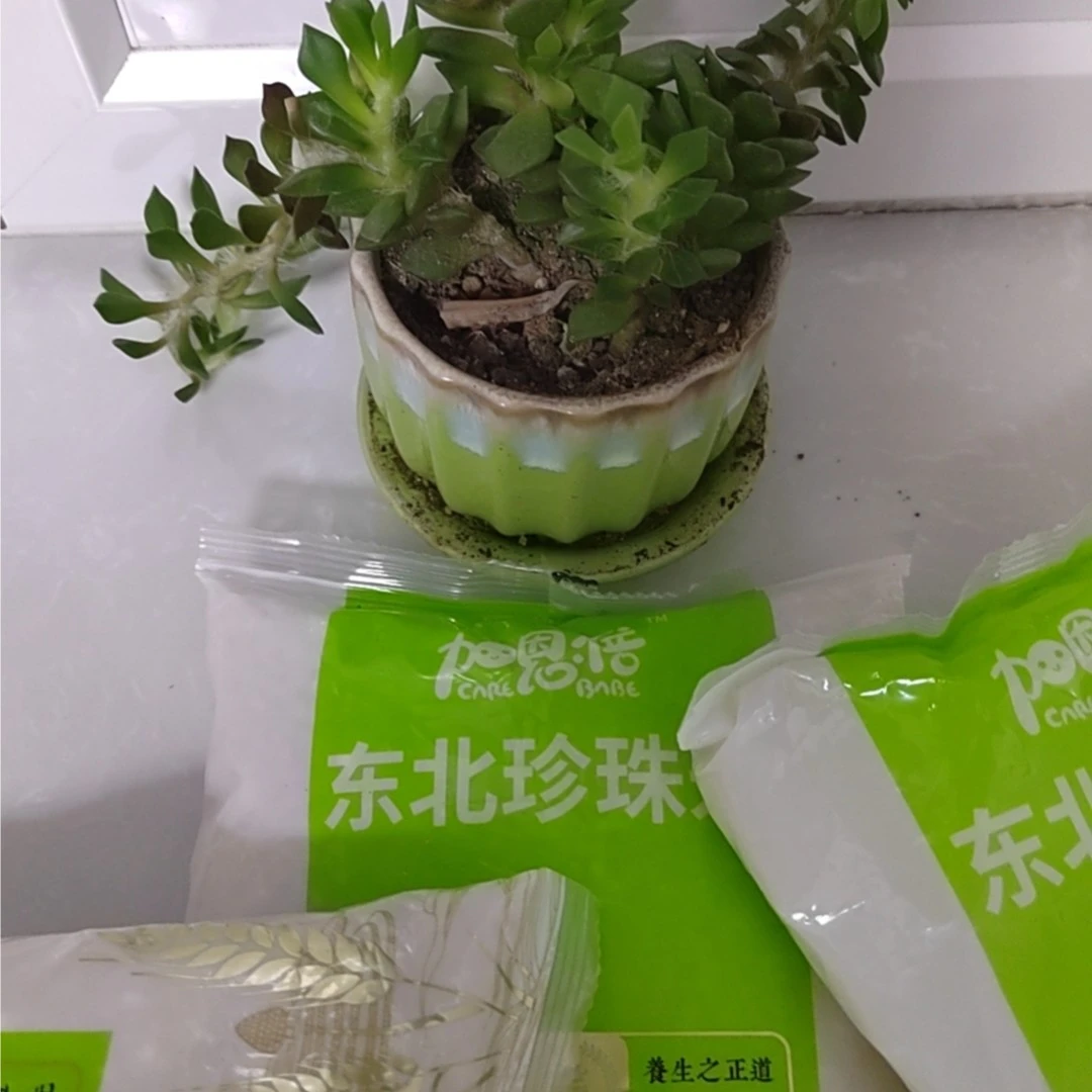 到手一包700克          破损丢件联系客服绿植盆栽商家