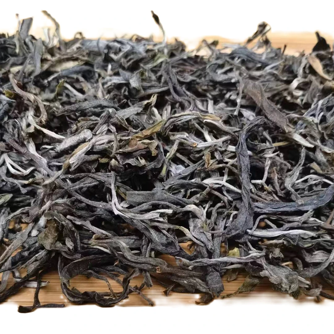 东半山 50克尝鲜价云南临沧勐库古树普洱茶2023年生茶头春茶散茶