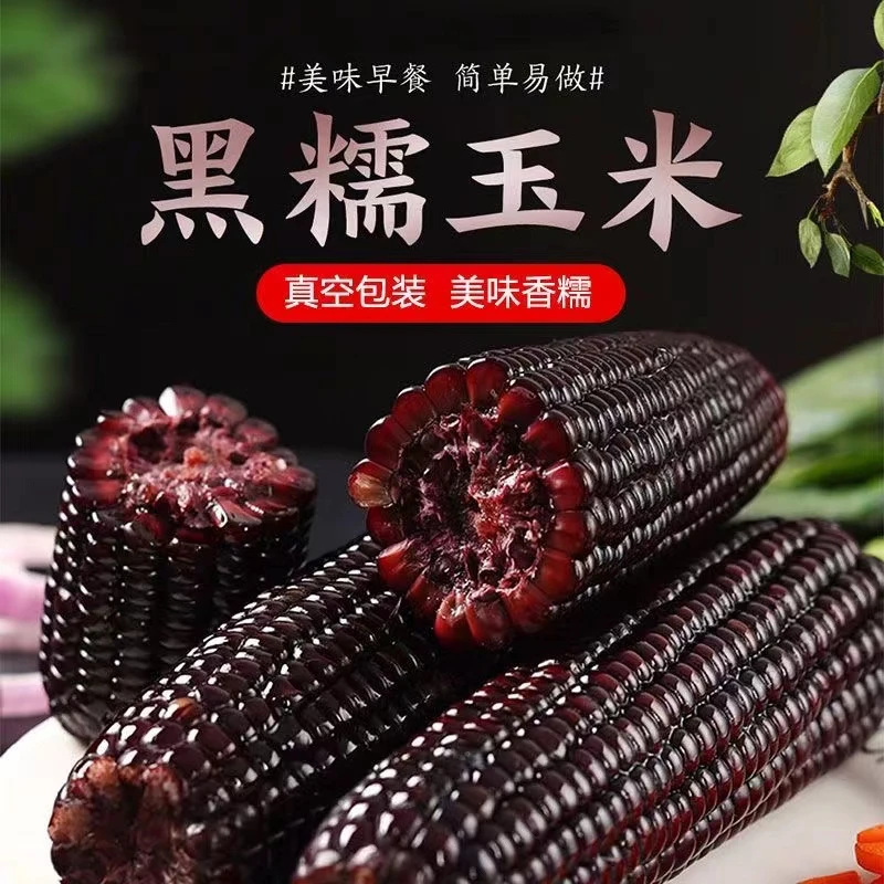 粉丝福利【19.9元14根黑糯】试吃1根蓝莓香糯真空黑玉米