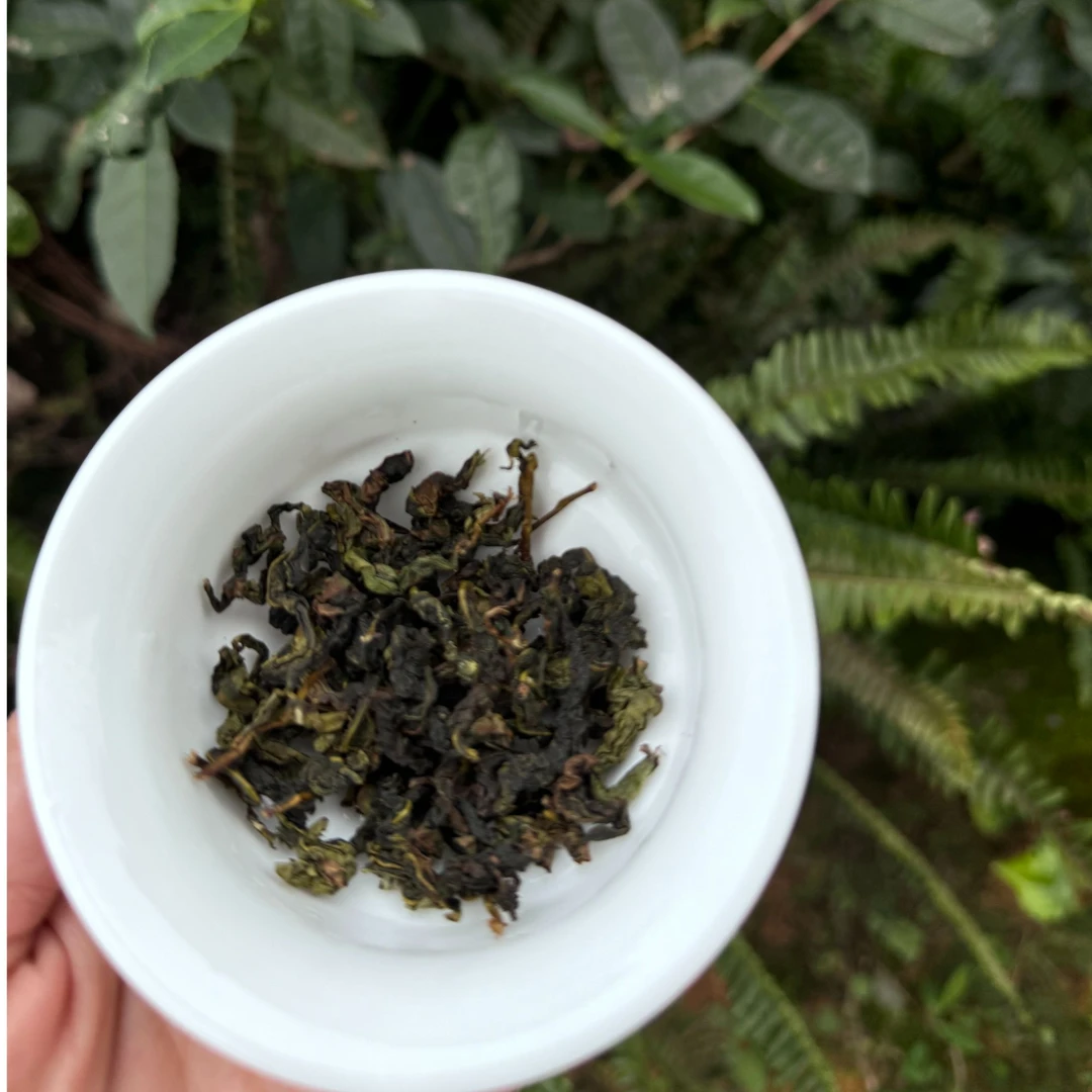 【老六手作】传统工艺红芯歪尾桃铁观音大兰花香秋茶250g