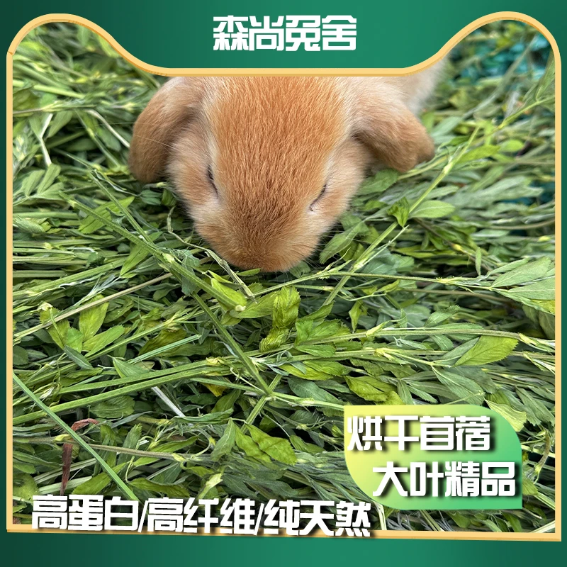 兔粮烘干紫花苜蓿草兔子龙猫荷兰猪干草牧草饲料幼兔兔子新草