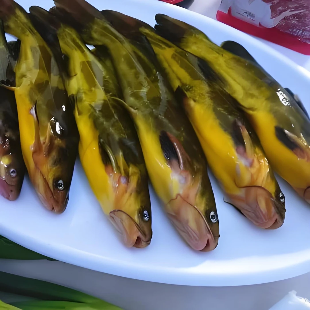 水库野生大黄辣丁嘎牙子5斤