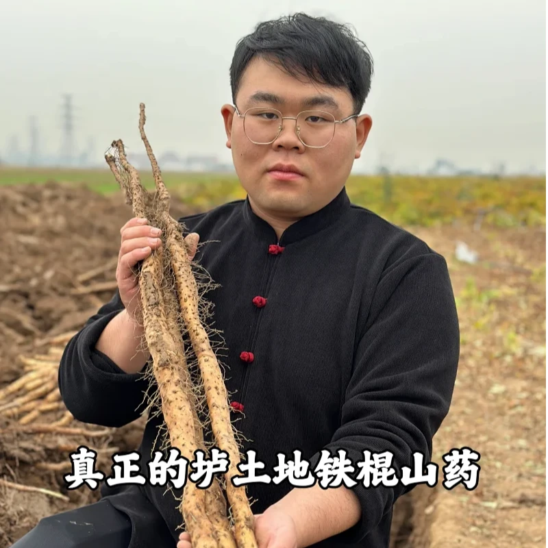 2024霜降铁棍山药鲜品 温县垆土地铁棍山药