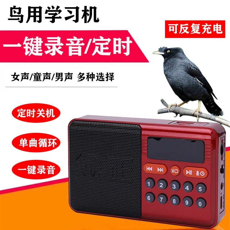 鸟用学习机鹦鹉学说话机八哥学习机鹩哥漂亮鹦鹉录音教讲话学语